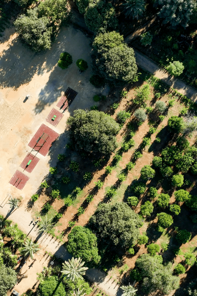Progetto: Verde diffuso e connettività verde