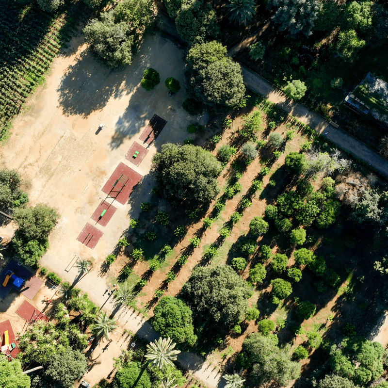 Progetto: Verde diffuso e connettività verde
